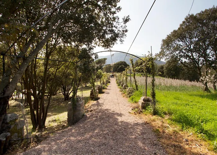 Apartmán Le Domaine Saint Francois Le Moulin 2 Ajaccio (Corsica)